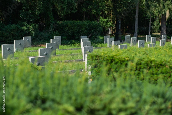 Obraz Cmentarz wojskowy 