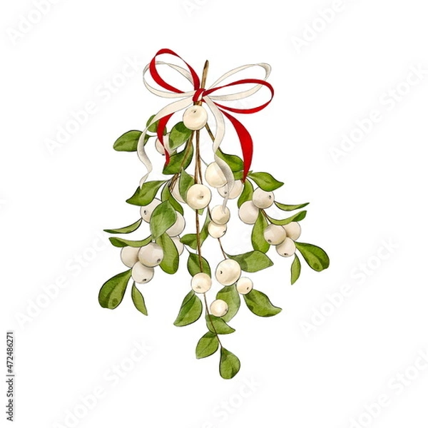 Obraz Traditional Christmas mistletoe twig with ribbon. Digital illustration