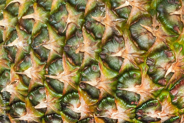 Fototapeta Pineapple skin background