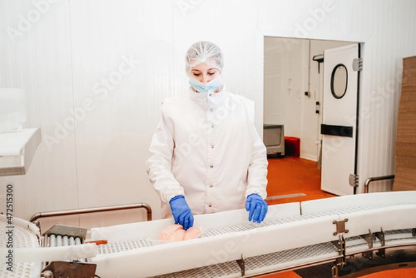 Obraz Meat processing plant.People working at a chicken factory - stock photo.Automated production line in modern food factory.