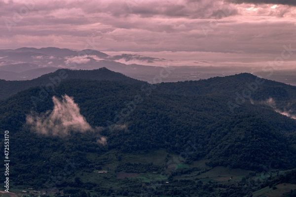 Fototapeta The close-up natural background of green rice fields, behind a large mountain and mist flowing through the blurred foliage, is a natural beauty seen in the countryside