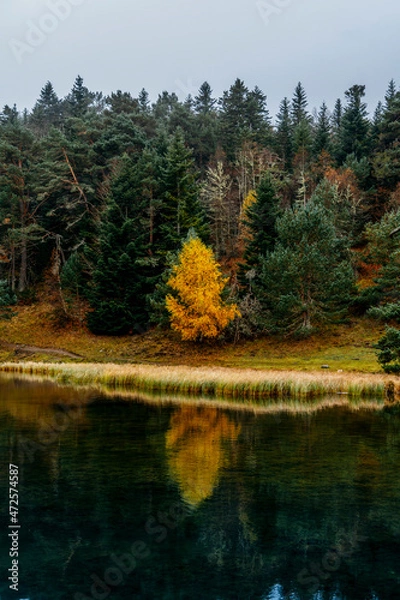 Fototapeta Bassa d'Oles lake with fog during autumn, located in the town of Vielha Mitg Aran, in the Pyrenees, in the Aran Valley, Catalonia.