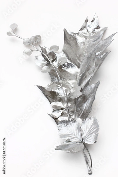 Fototapeta Silver leaves
