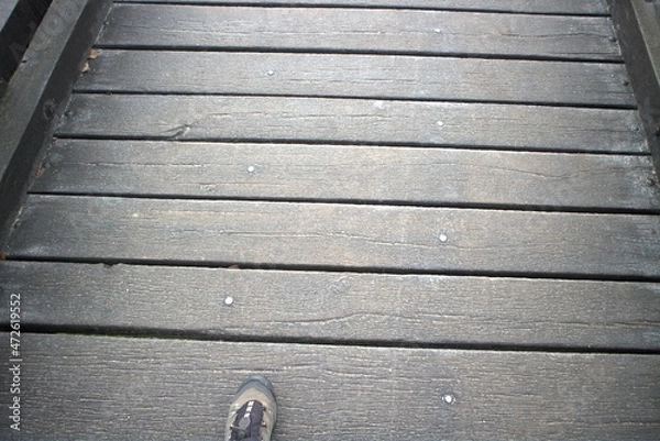 Obraz wooden pathway