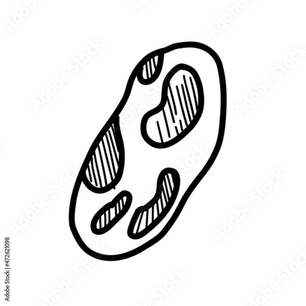 Fototapeta Stone or Pebble. Vector illustration in the style of a doodle