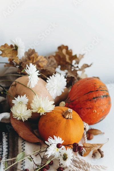 Obraz Scandinavian autumn still life vegetarian table with pumpkins and white flowers, Thanksgiving decorations with pumpkins, gourds, and squash