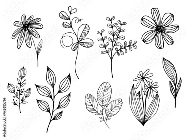 Fototapeta Hand drawn vector set of tree branches, flowers, leaves. Black herb leaf, herbs silhouettes isolated on white background. Botanical illustration for print, wedding card, invitation card, floral poster