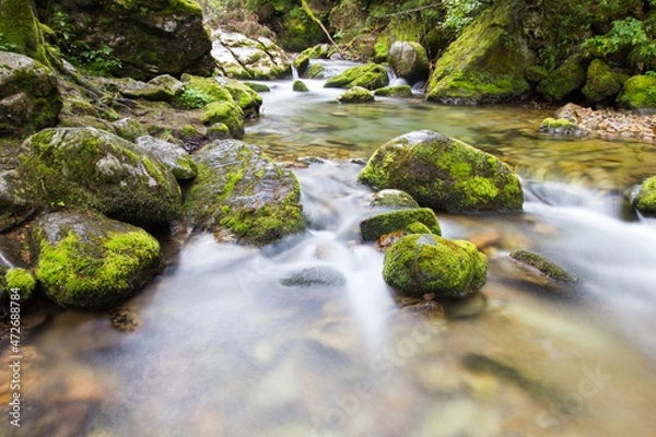 Obraz The river in mountain