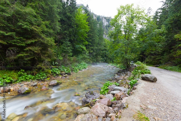 Obraz The river in mountain
