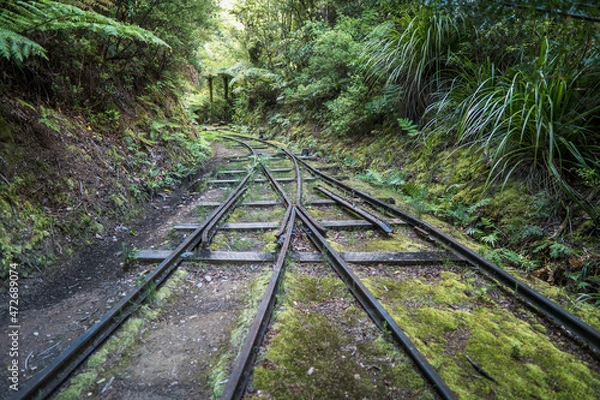 Fototapeta Abandoned railroad track, Te Aroha Mountain Gold Mining Walking Track, New Zealand