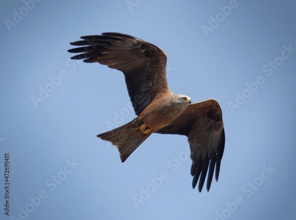 Fototapeta Milan noir