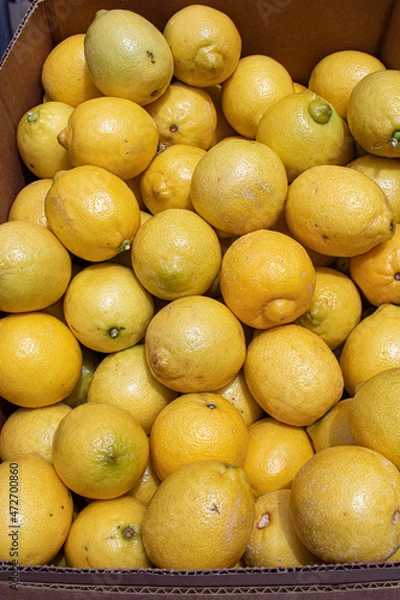 Obraz Large Box Filled with Ripe Lemons Sits Next to a Lemonade Stand at the 2019 San Diego County Fair