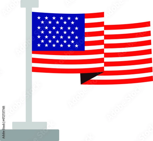 Fototapeta American Flag Vector Isolated