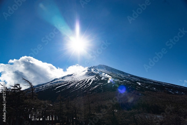 Obraz 冬の富士山