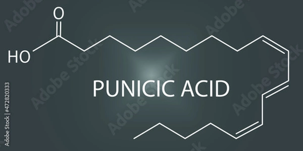 Fototapeta Punicic acid or trichosanic acid molecule. Fatty acid present in pomegranate, Punica granatum. Skeletal formula.