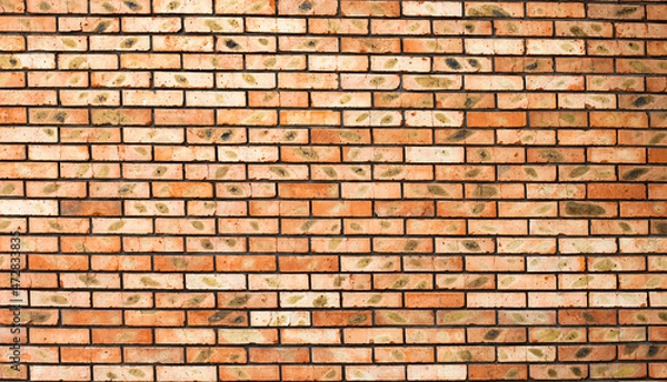 Obraz Brick wall