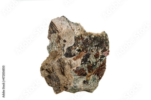 Fototapeta Macro stone mineral Actinolite on a white background