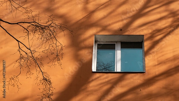 Fototapeta wall, window, 