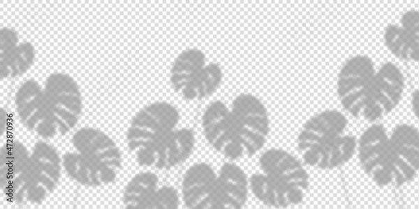 Obraz Shadow plant mockup