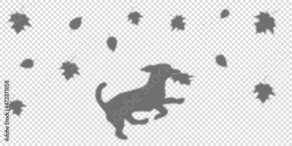 Obraz Shadow dog and leaves mockup