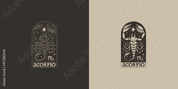 Fototapeta Outline zodiac sign Scorpio. Astrological symbol. Horoscope. Set of two variants of logos on a dark and light background