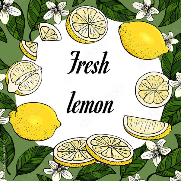 Fototapeta Yellow lemons. Set of citrus. Fresh fruits. Whole lemon, slice, cut pieces, flower, green leaves. Vector background. Isolated on white background. Color. Can be used as a label, template, for bar menu