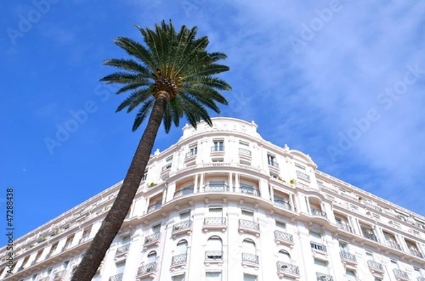 Fototapeta Hotel et Palmier à Cannes