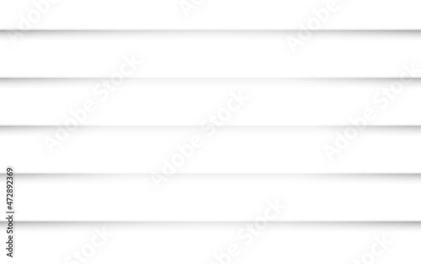 Fototapeta white background and abstract gray The vector background can be used in the cover design. Design of a book, poster, flyer, website background or advertisement.