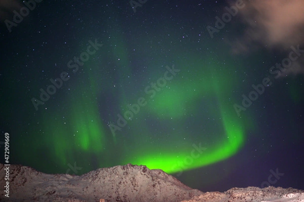 Obraz aurora borealis in the sky