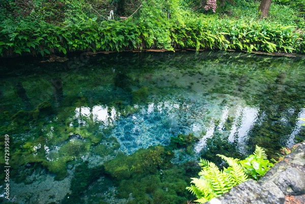 Fototapeta 新鮮な水が生まれる風景