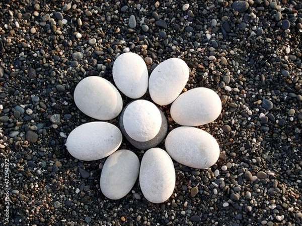 Fototapeta white pebbles on the beach