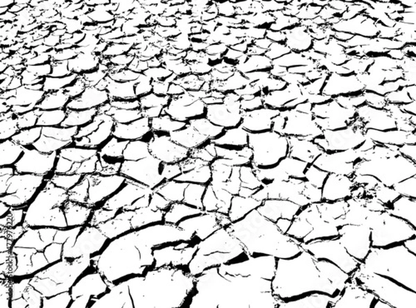 Fototapeta Texture of dry cracked earth. Black and white vector illustration.