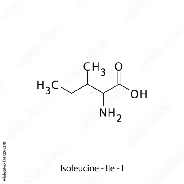 Fototapeta Isoleucine - Ile - I - Essential Amino Acid simple skeletal formula and structure vector illustration, EPS 10.