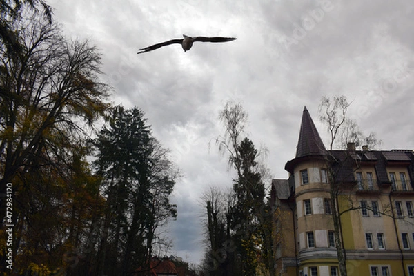 Fototapeta Sights of the city of Kaliningrad. East Prussia. Historical buildings of the ancient city.