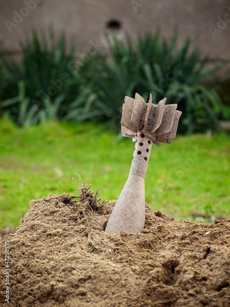 Obraz Unexploded grenade