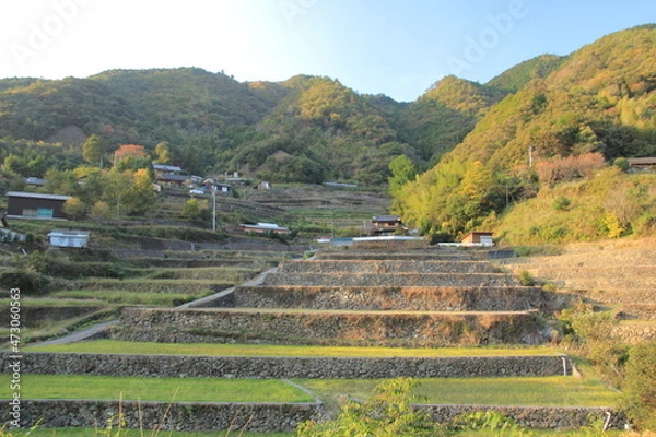 Obraz 愛媛県　遊鶴羽の棚田