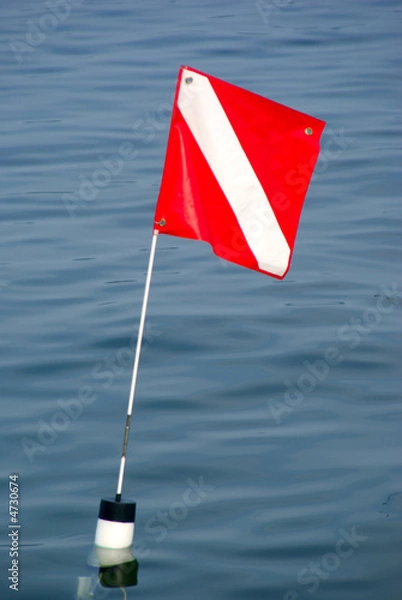 Obraz Dive Flag