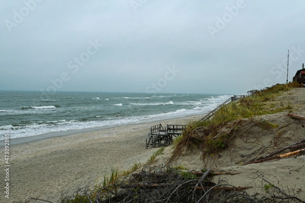 Obraz Curonian Spit