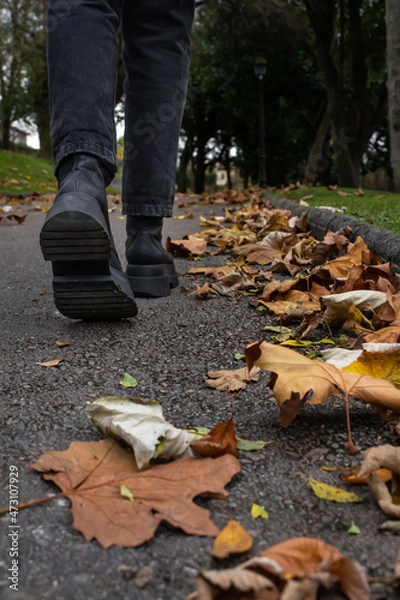 Fototapeta A person walks through a park among the dry leaves of autumn.
