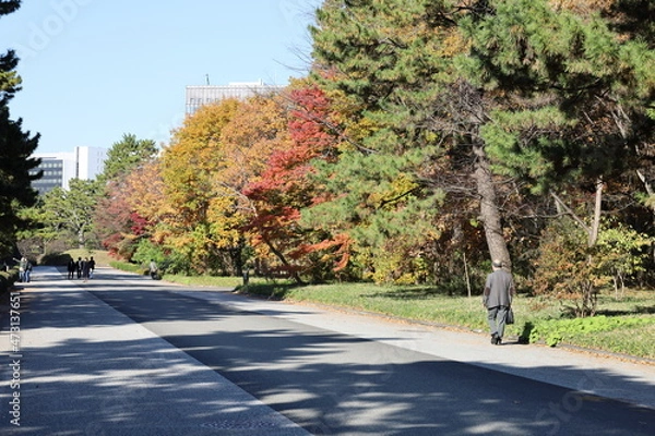 Obraz 秋の皇居東御苑