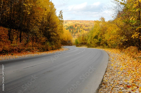 Obraz autumn road