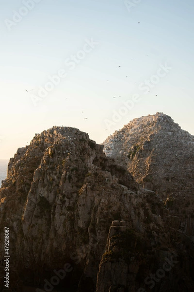 Fototapeta The top o two really big rocks in the beach, at sunset, on a beautiful beach in Chile