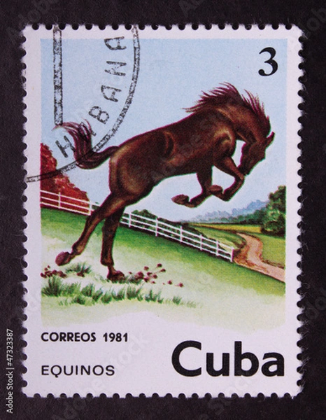 Fototapeta Postage stamp