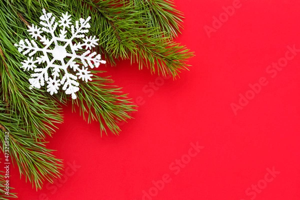 Obraz Red background for text with coniferous tree branches