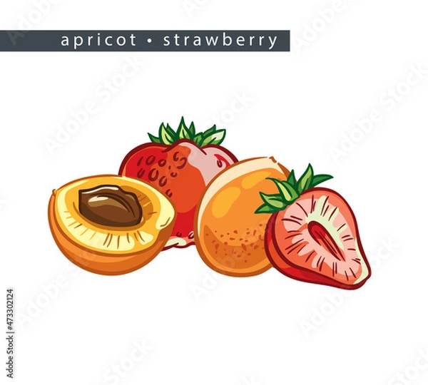 Obraz sketch_apricot_strawberry_two_whole_fruits_and_two_halves