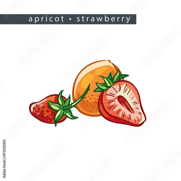 Obraz sketch_apricot_strawberry_two_whole_fruits_and_half