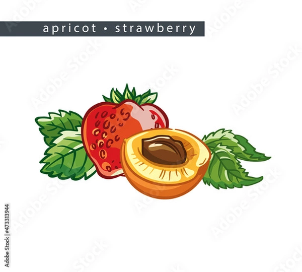 Obraz sketch_apricot_strawberry_whole_fruit_half_and_leaves