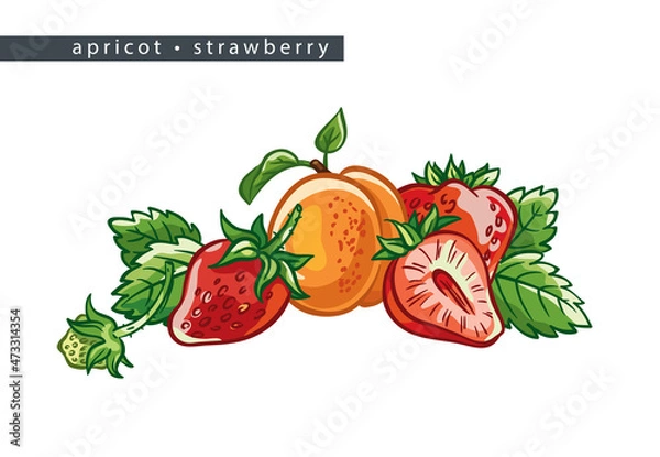 Obraz sketch_apricot_strawberry_three_whole_fruits_half_and_leaves