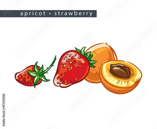 Obraz sketch_apricot_strawberry_three_whole_fruits_and_half