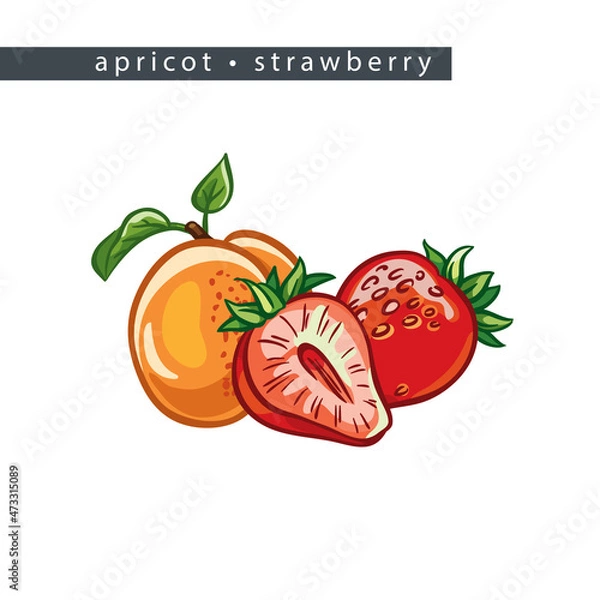Obraz sketch_apricot_strawberry_half_and_two_whole_fruits
